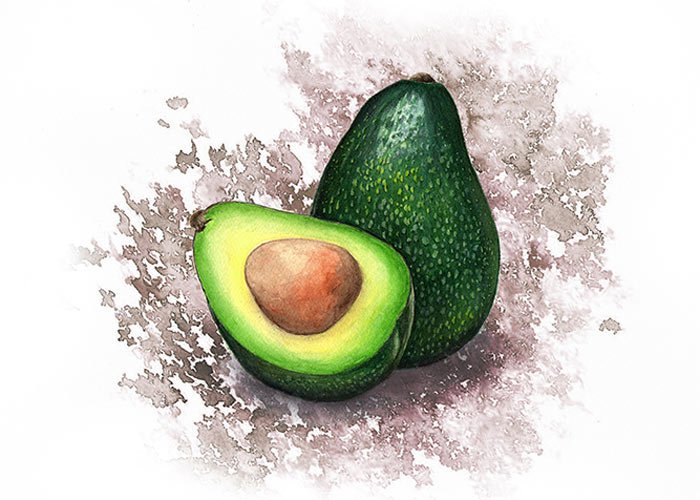 An Avocado Watercolor Illustration