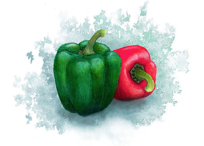 Bell Peppers Watrcolor Illustration