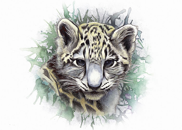 A watercolor illustration of a snow leopard cub
