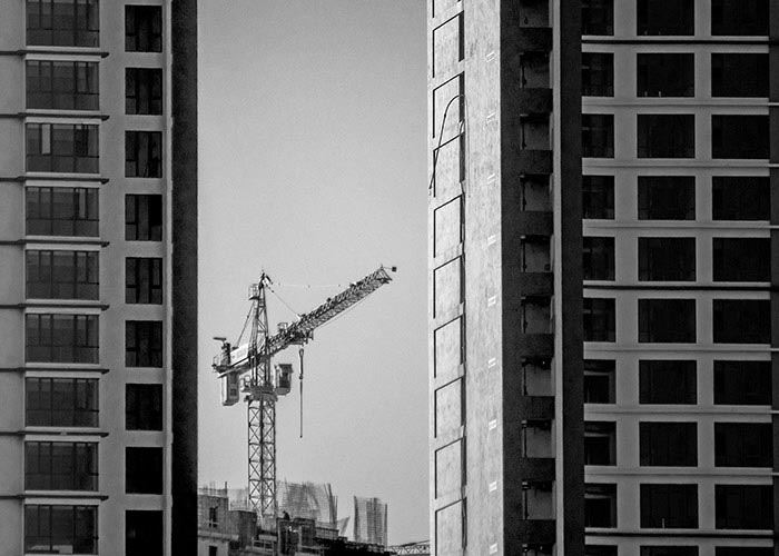 Black & White Photography : A Crane