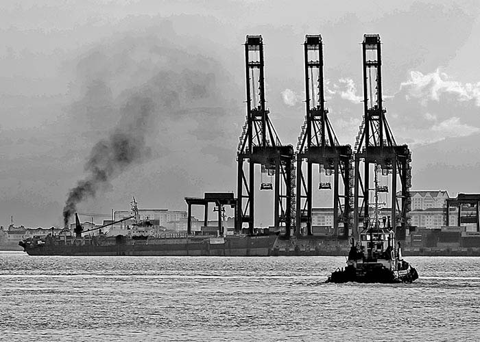 Black & White Photography : Port Cranes