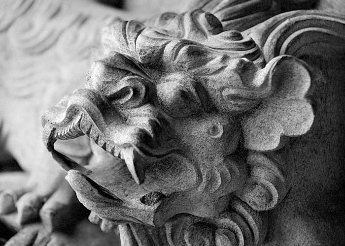 Black & White Photography : Dragon Carving